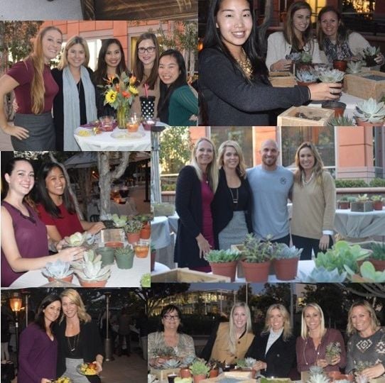 Succulents-Sangria-and-Success