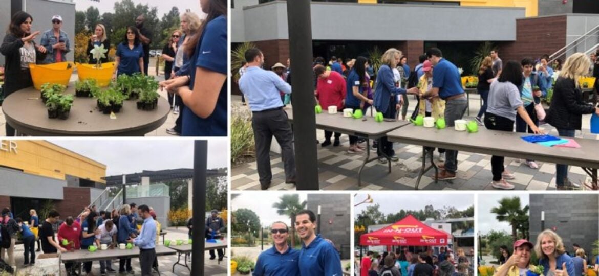 Annual Day of Service Images