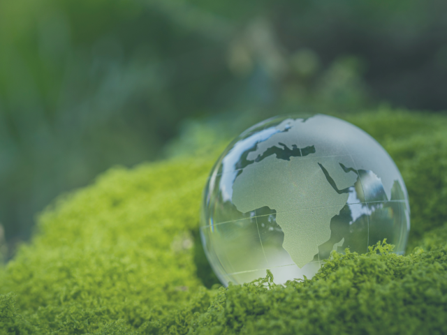 Values Based Investing