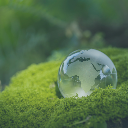 Values Based Investing