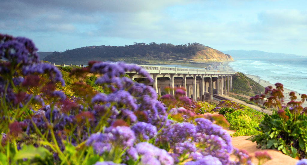 Financial Planning - San Diego, CA (High Bluff)