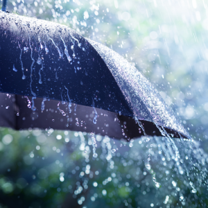 Key Types of Insurance Premiums Explained