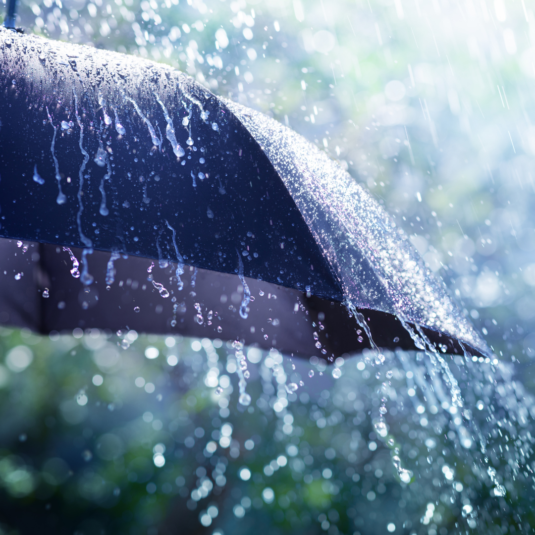 Key Types of Insurance Premiums Explained