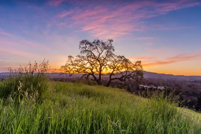 financial-planning-pleasant-hill-ca