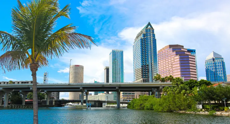 Financial Planning - Tampa, FL (FTMI-TBFL)